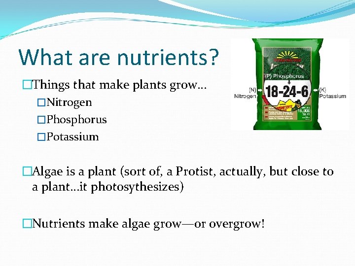 What are nutrients? �Things that make plants grow… �Nitrogen �Phosphorus �Potassium �Algae is a