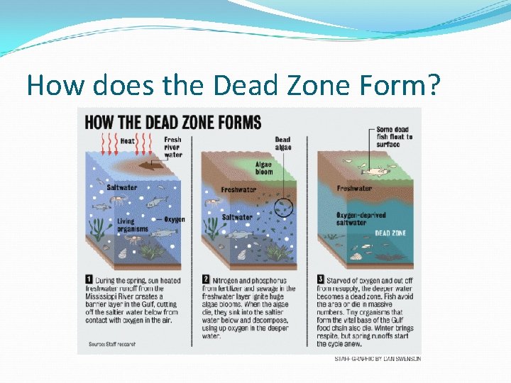 How does the Dead Zone Form? 