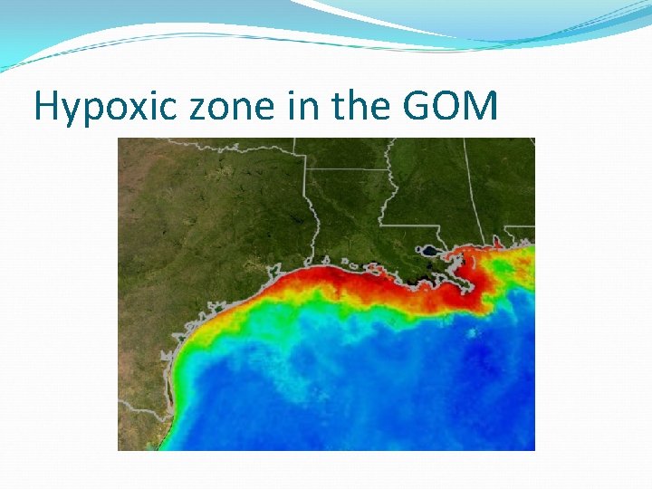 Hypoxic zone in the GOM 