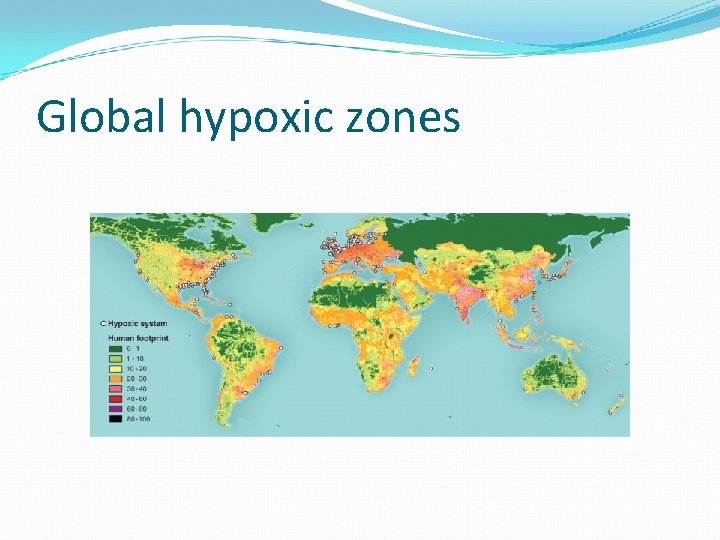 Global hypoxic zones 