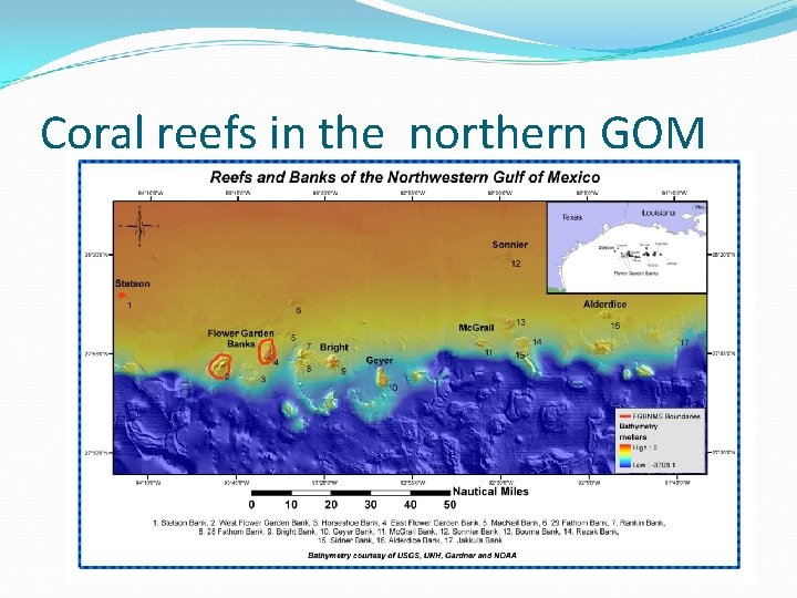 Coral reefs in the northern GOM 