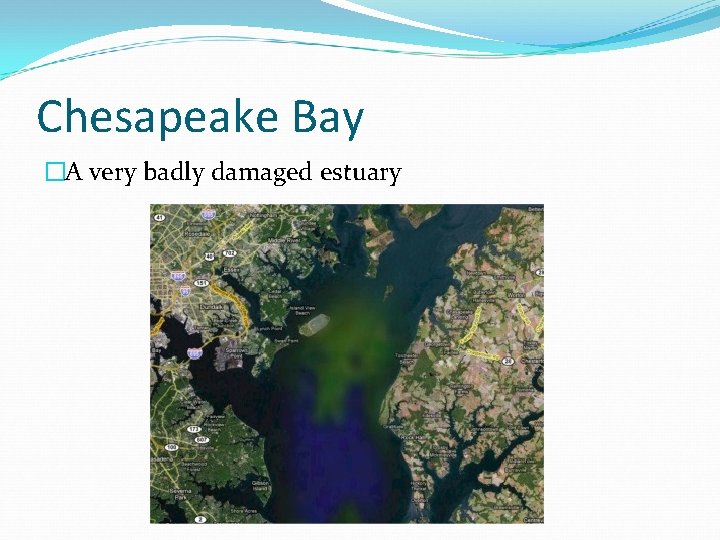 Chesapeake Bay �A very badly damaged estuary 