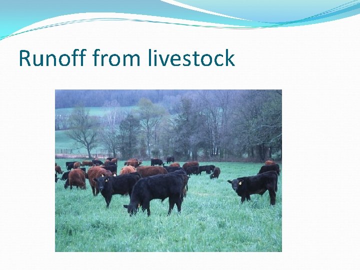 Runoff from livestock 