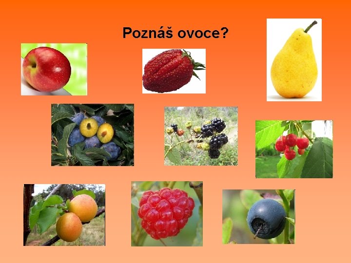 Poznáš ovoce? 