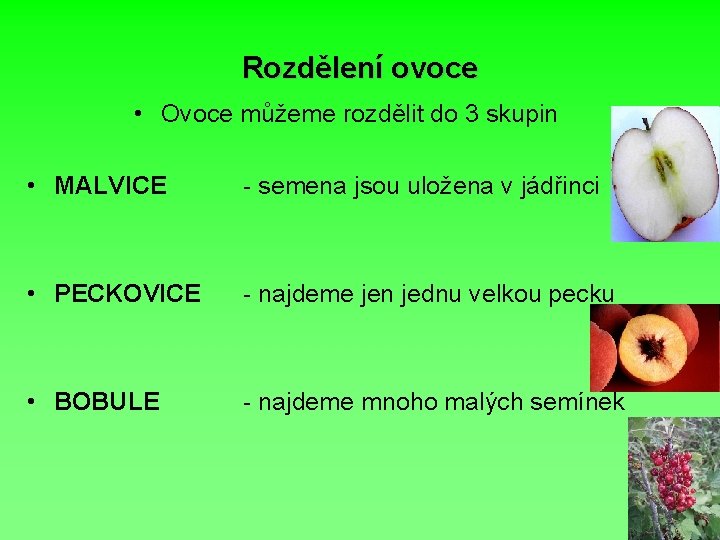 Rozdělení ovoce • Ovoce můžeme rozdělit do 3 skupin • MALVICE - semena jsou