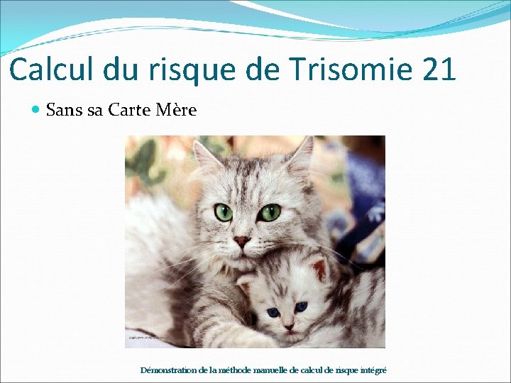Calcul du risque de Trisomie 21 Sans sa Carte Mère Démonstration de la méthode Calcul du risque de Trisomie 21 Sans sa Carte Mère Démonstration de la méthode
