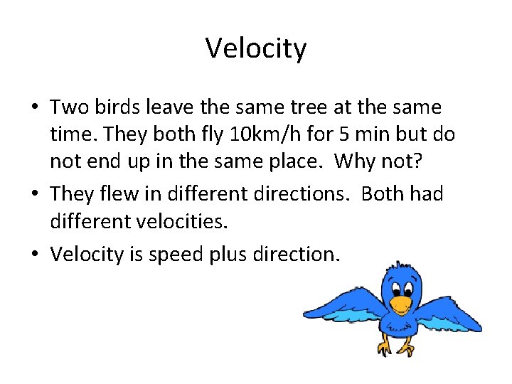 Velocity • Two birds leave the same tree at the same time. They both