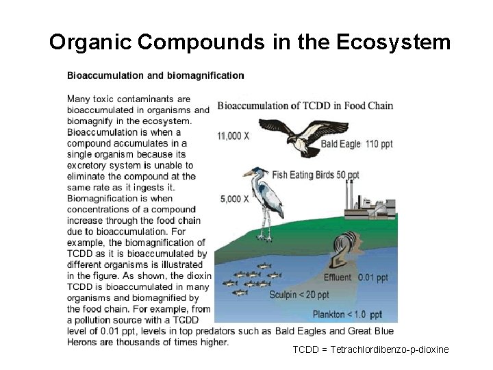 Organic Compounds in the Ecosystem TCDD = Tetrachlordibenzo-p-dioxine Organic Compounds in the Ecosystem TCDD = Tetrachlordibenzo-p-dioxine