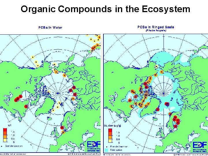 Organic Compounds in the Ecosystem 