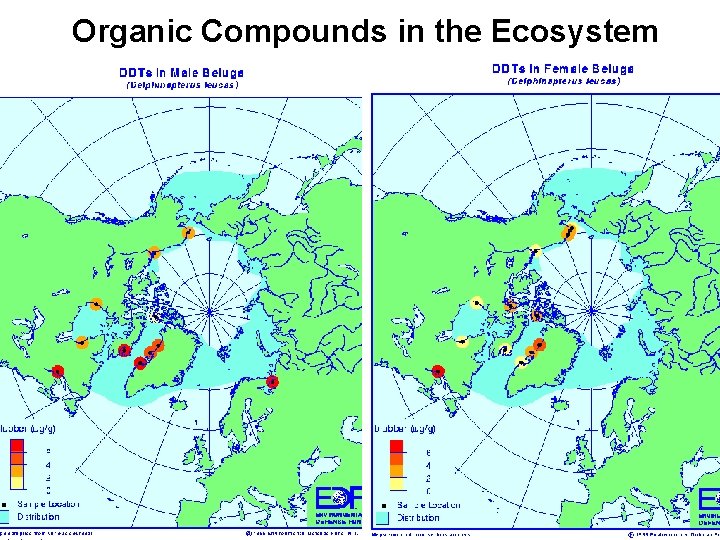 Organic Compounds in the Ecosystem 