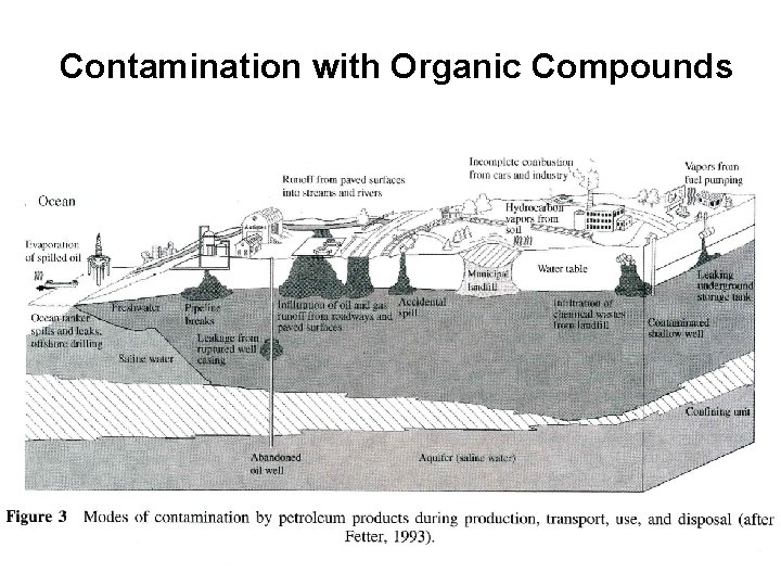 Contamination with Organic Compounds 