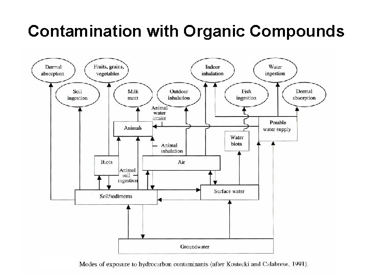 Contamination with Organic Compounds 