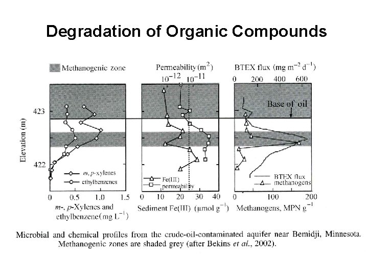 Degradation of Organic Compounds 