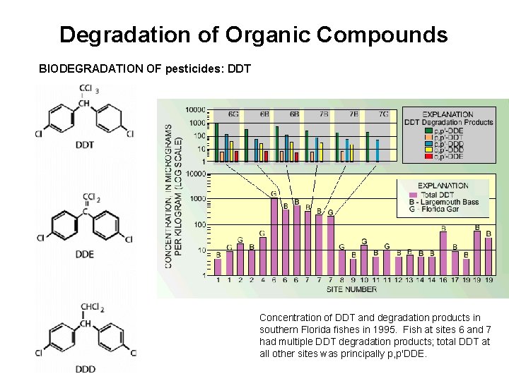 Degradation of Organic Compounds BIODEGRADATION OF pesticides: DDT Concentration of DDT and degradation products