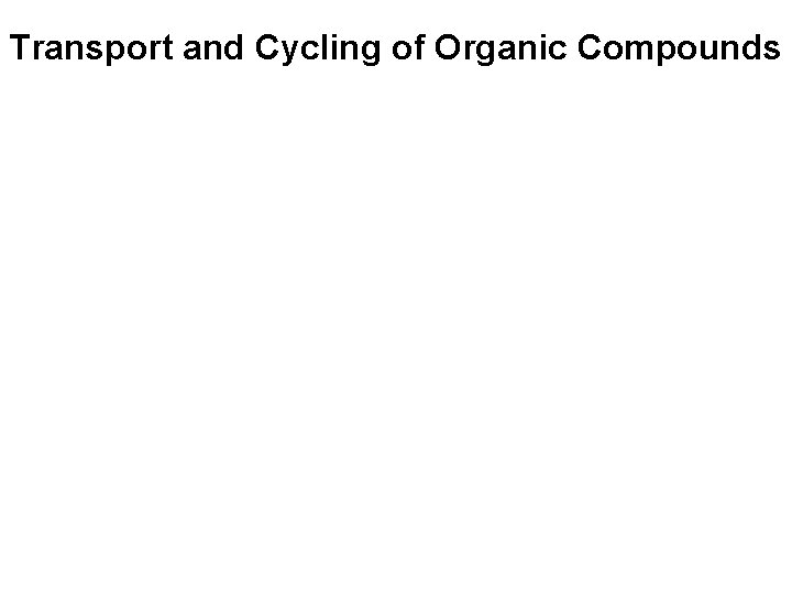 Transport and Cycling of Organic Compounds 