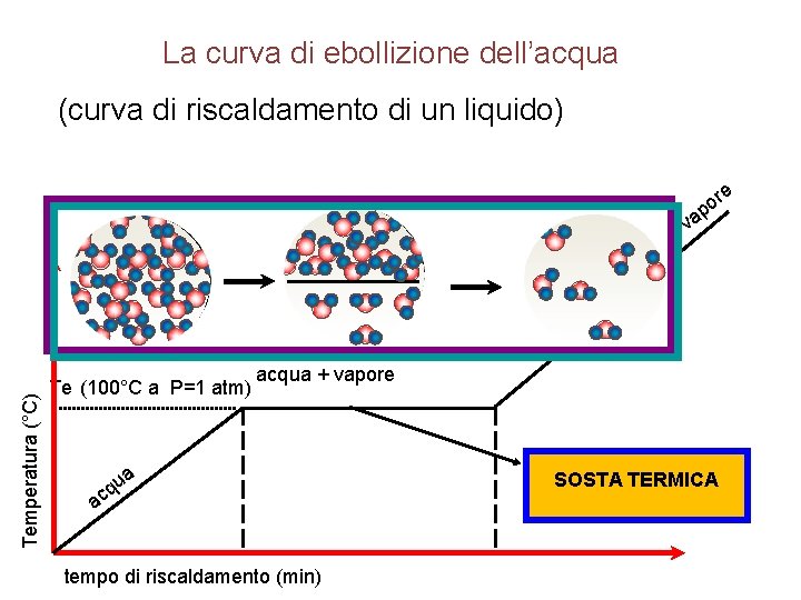 La curva di ebollizione dell’acqua (curva di riscaldamento di un liquido) e r o