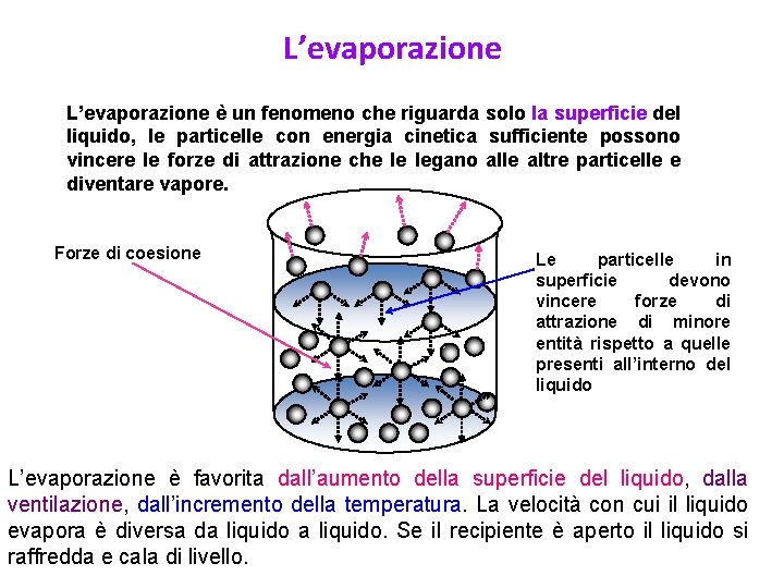 L’evaporazione è un fenomeno che riguarda solo la superficie del liquido, le particelle con