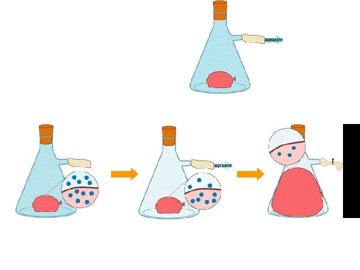Il palloncino viene posto nella beuta, dalla quale si aspira l’aria. Cosa accade al
