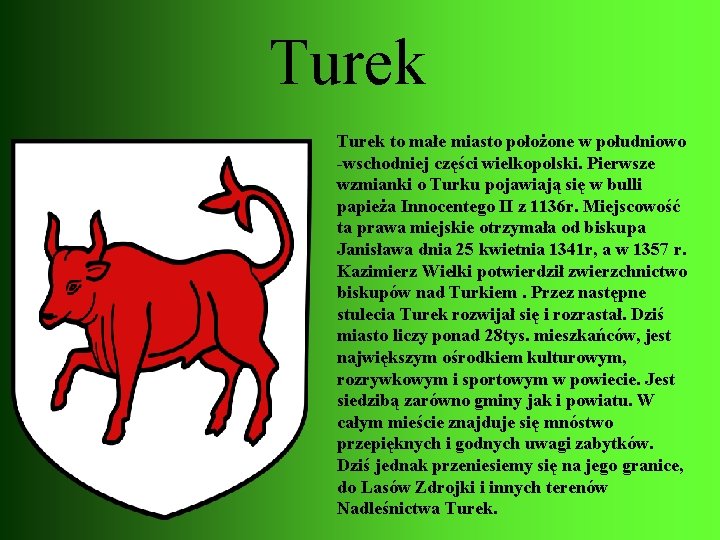 Turek to małe miasto położone w południowo -wschodniej części wielkopolski. Pierwsze wzmianki o Turku