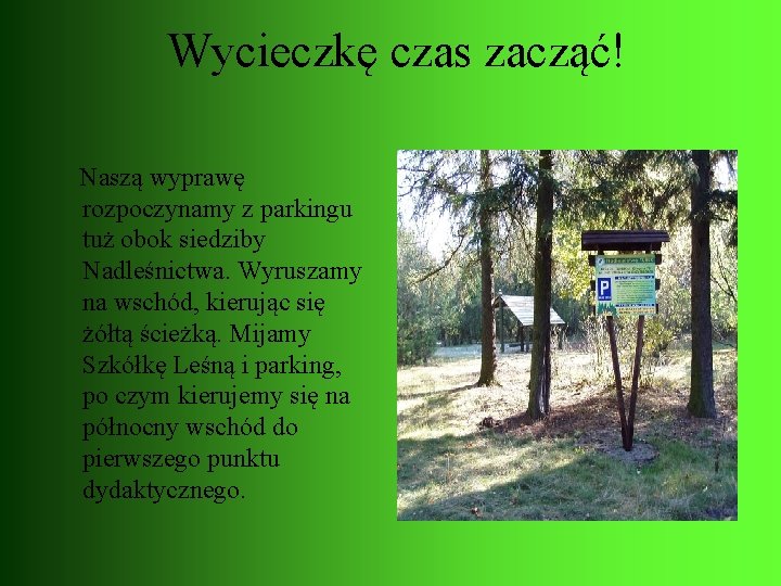 Wycieczkę czas zacząć! Naszą wyprawę rozpoczynamy z parkingu tuż obok siedziby Nadleśnictwa. Wyruszamy na