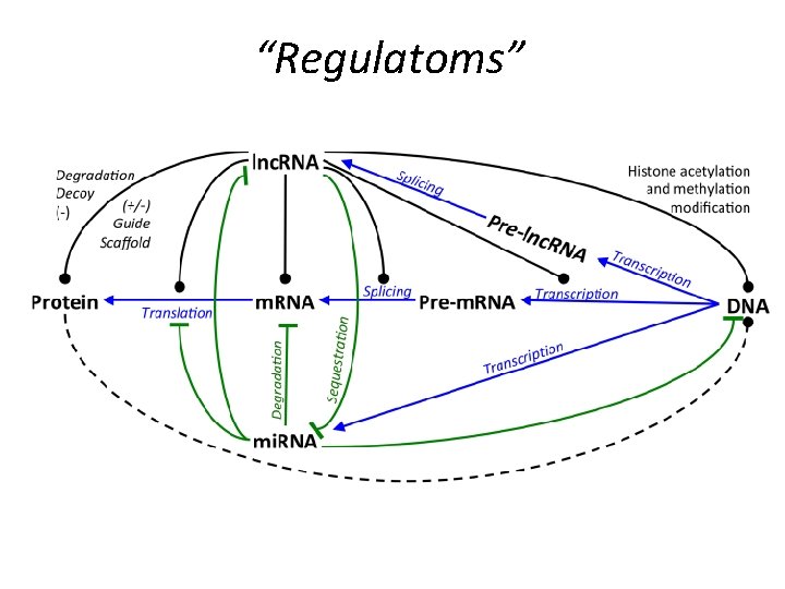 “Regulatoms” 