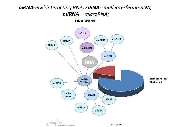 pi. RNA-Piwi-interacting RNA; si. RNA-small interfering RNA; mi. RNA – micro. RNA; Non-coding RNA