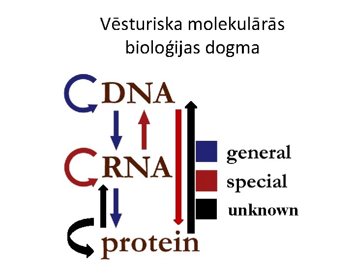 Vēsturiska molekulārās bioloģijas dogma unknown 