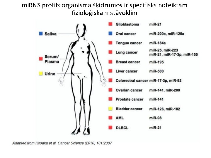 mi. RNS profils organisma šķidrumos ir specifisks noteiktam fizioloģiskam stāvoklim 