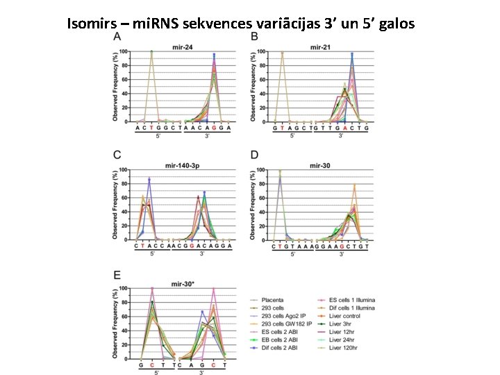 Isomirs – mi. RNS sekvences variācijas 3’ un 5’ galos 