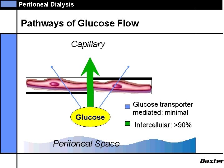 Peritoneal Dialysis Pathways of Glucose Flow Capillary Glucose Peritoneal Space Glucose transporter mediated: minimal