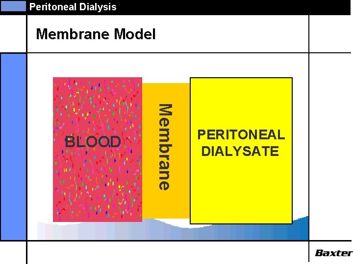 Peritoneal Dialysis Membrane Model Membrane BLOOD PERITONEAL DIALYSATE 