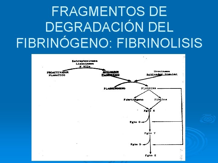 FRAGMENTOS DE DEGRADACIÓN DEL FIBRINÓGENO: FIBRINOLISIS 
