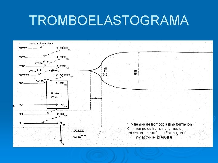 TROMBOELASTOGRAMA r => tiempo de tromboplastino formación K => tiempo de trombino formación am
