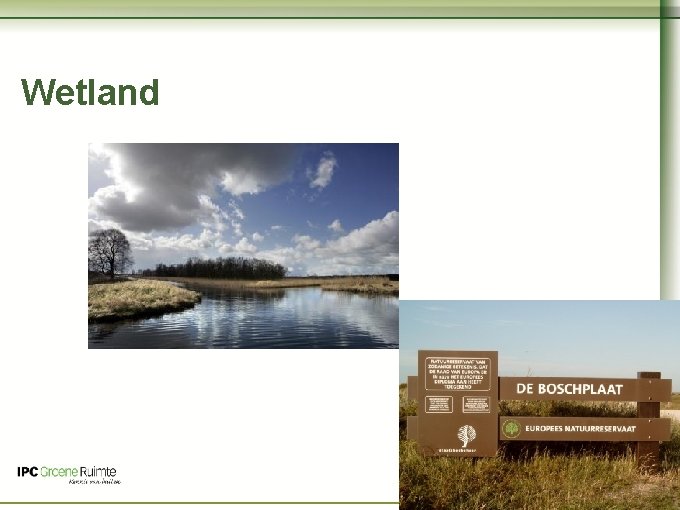 Naam cursus Wetland Naardermeer 