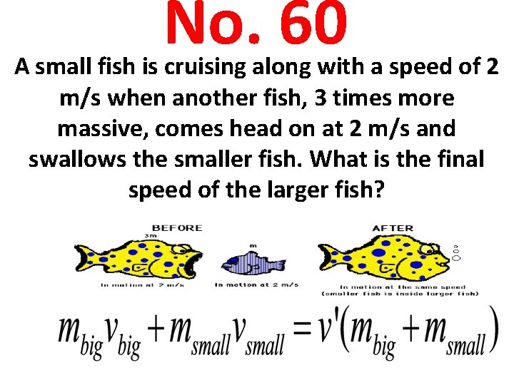 No. 60 A small fish is cruising along with a speed of 2 m/s