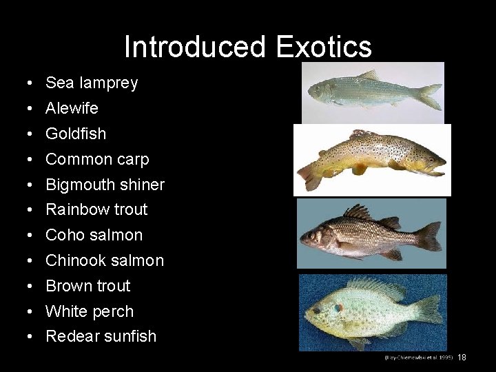 Introduced Exotics • Sea lamprey • Alewife • Goldfish • Common carp • Bigmouth