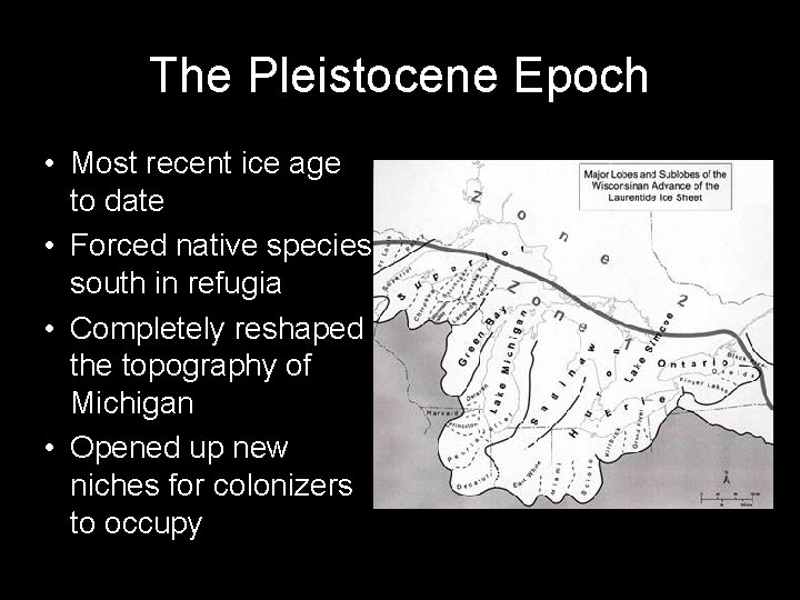 The Pleistocene Epoch • Most recent ice age to date • Forced native species