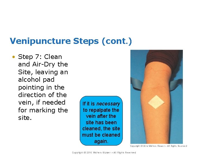 Venipuncture Steps (cont. ) • Step 7: Clean and Air-Dry the Site, leaving an