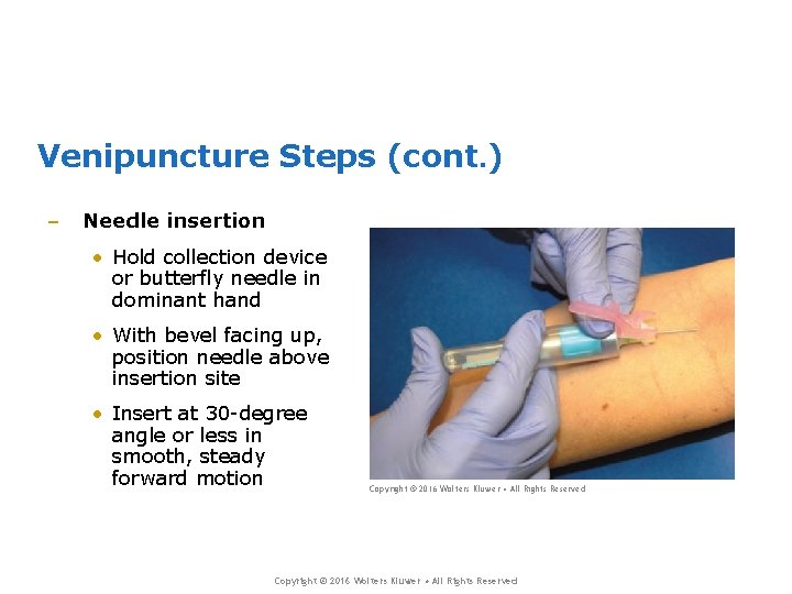 Venipuncture Steps (cont. ) – Needle insertion • Hold collection device or butterfly needle