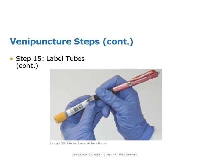 Venipuncture Steps (cont. ) • Step 15: Label Tubes (cont. ) Copyright © 2016