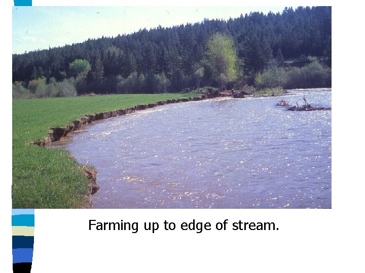 Farming up to edge of stream. 