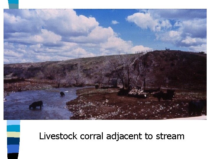 Livestock corral adjacent to stream 