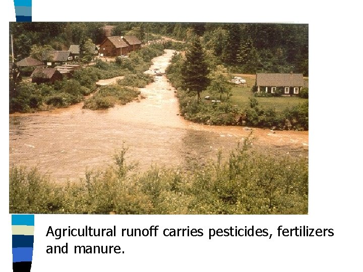 Agricultural runoff carries pesticides, fertilizers and manure. 