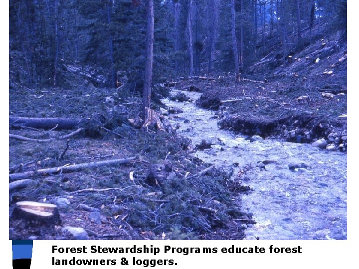 Forest Stewardship Programs educate forest landowners & loggers. 