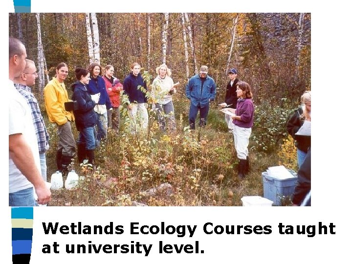 Wetlands Ecology Courses taught at university level. 