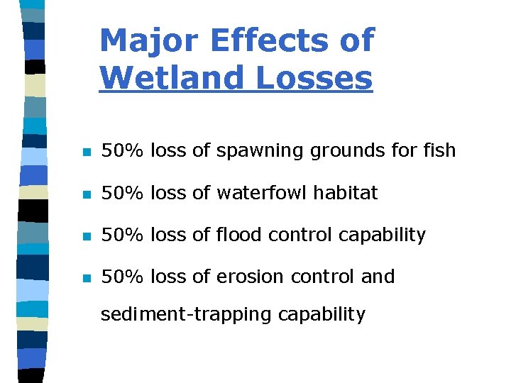 Major Effects of Wetland Losses n 50% loss of spawning grounds for fish n