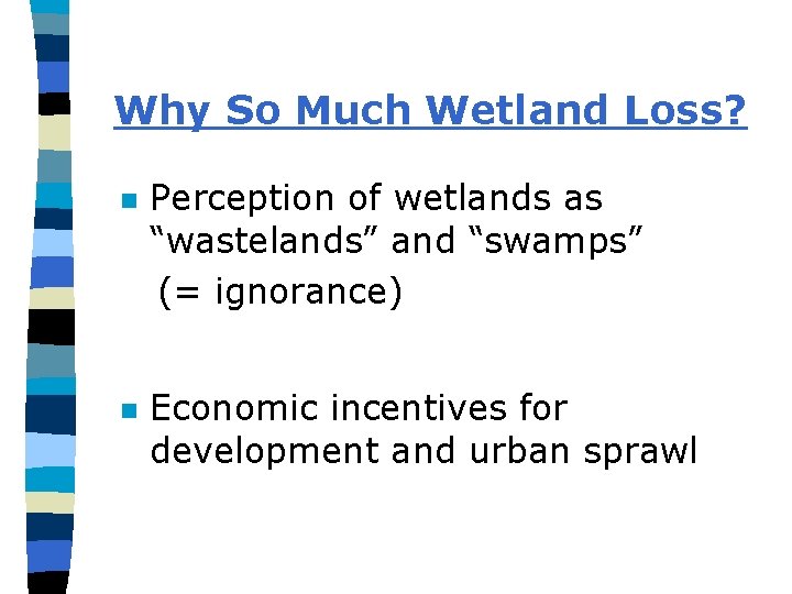 Why So Much Wetland Loss? n n Perception of wetlands as “wastelands” and “swamps”