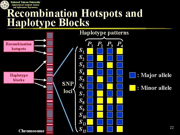 National Taiwan University Department of Computer Science and Information Engineering Recombination Hotspots and Haplotype