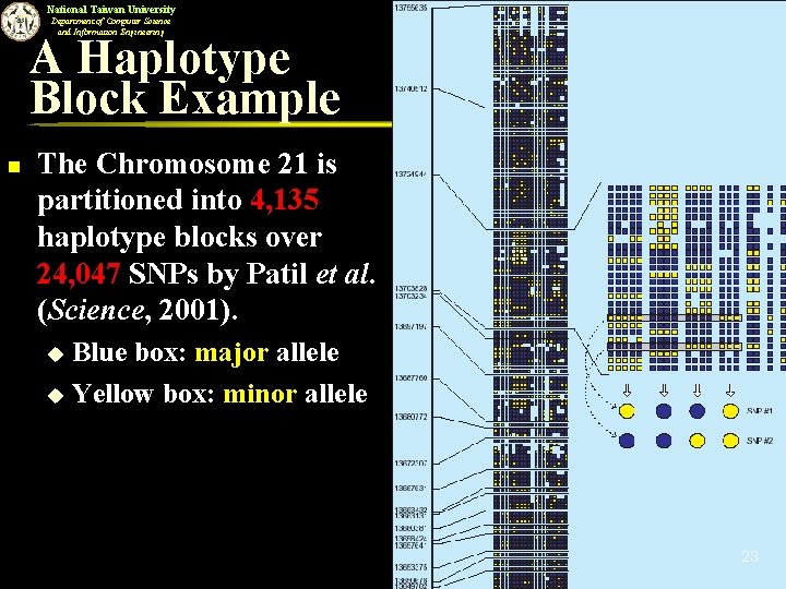 National Taiwan University Department of Computer Science and Information Engineering A Haplotype Block Example