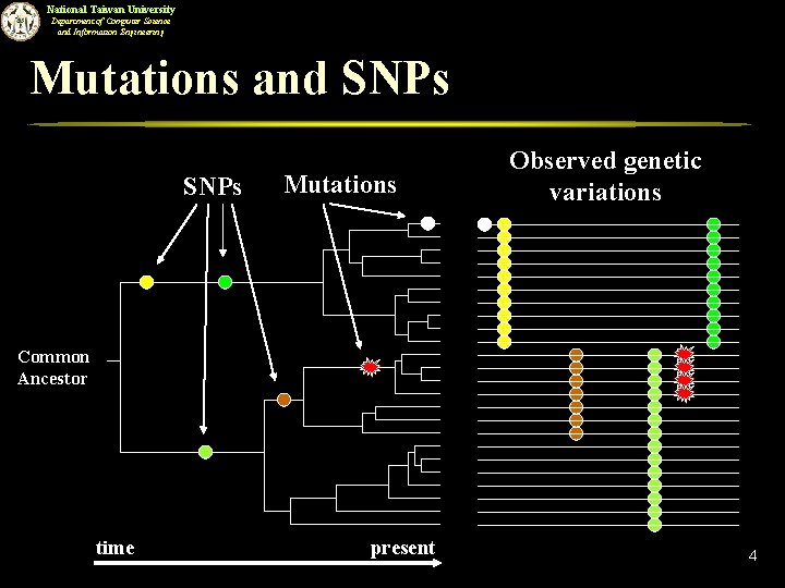 National Taiwan University Department of Computer Science and Information Engineering Mutations and SNPs Mutations